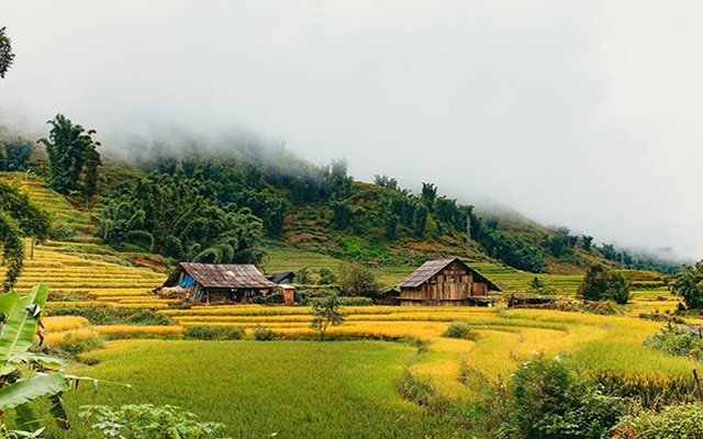 Tổng hợp những kinh nghiệm du lịch Sapa mùa thu không phải ai cũng biết