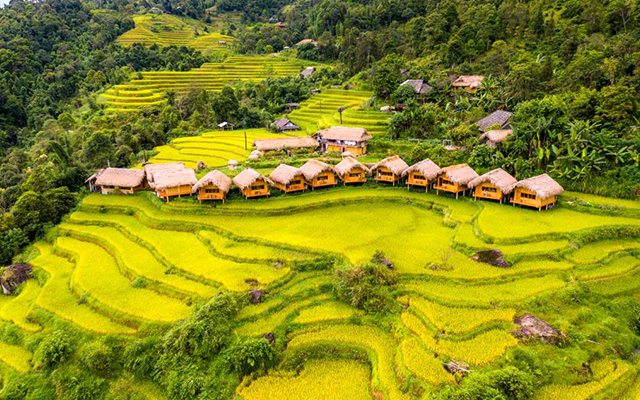 Tham khảo kinh nghiệm du lịch Tây Bắc mùa thu với homestay ngắm cảnh đẹp nhất