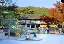 Đắm chìm trước vẻ đẹp cổ kính của đền Donghwasa - Hàn Quốc