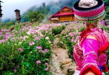 Du lịch Sapa